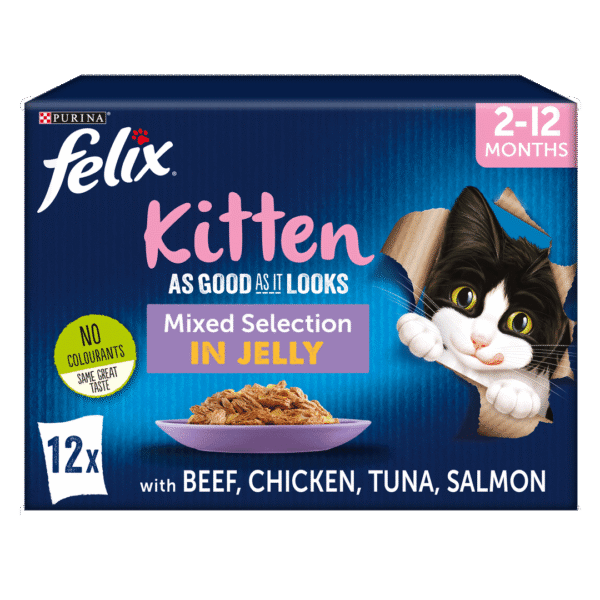 FELIX® As Good As it Looks Kitten Mixed Selection in Jelly Wet Cat Food